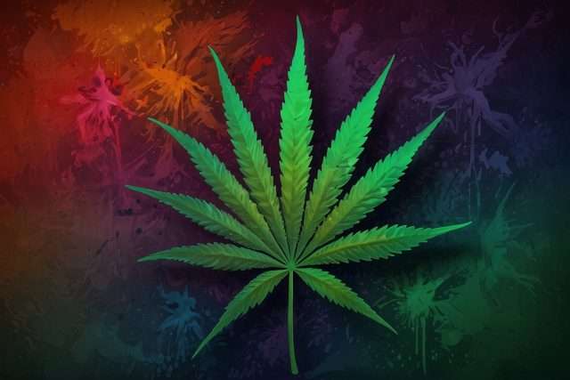 Abstract illustration of a cannabis leaf, vibrant colors and unique patterns.