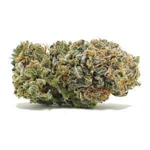https://bmwo.net/wp-content/uploads/2022/09/071822MASTERKUSH-1-1-1-1-1-300x300.jpg