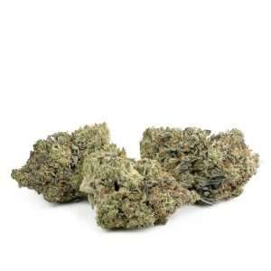 https://bmwo.net/wp-content/uploads/2022/09/Gator-Breath-by-Jungle-Boyz-Multi-300x300.jpg