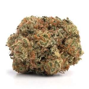 https://bmwo.net/wp-content/uploads/2022/09/Mimosa-2-5-300x300.jpg