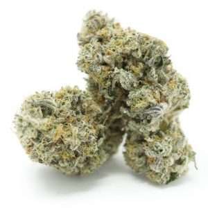 https://bmwo.net/wp-content/uploads/2022/09/chocolate-OG-1-1-300x300.jpg