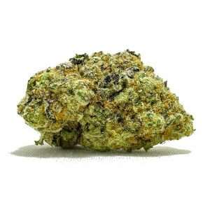 https://bmwo.net/wp-content/uploads/2022/09/durbanpoisonmay-1-1-300x300.jpg
