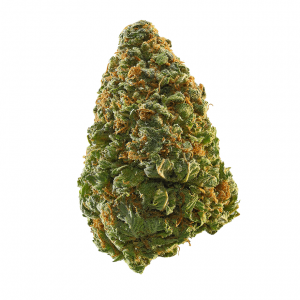 https://bmwo.net/wp-content/uploads/2022/09/green_crack_1-1-300x300.png