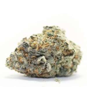 https://bmwo.net/wp-content/uploads/2022/09/la-grape-3-300x300.jpg