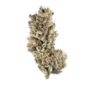 https://bmwo.net/wp-content/uploads/2022/09/purple-punch-300x300.jpg