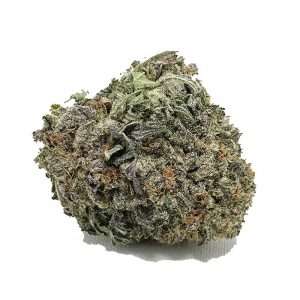 https://bmwo.net/wp-content/uploads/2022/09/purpleuriel-300x300.jpg