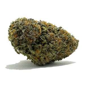 https://bmwo.net/wp-content/uploads/2022/09/slurricane-300x300.jpg