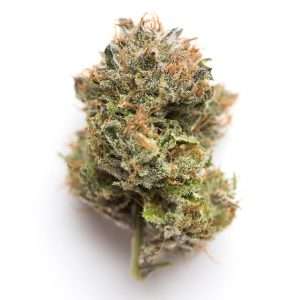 https://bmwo.net/wp-content/uploads/2022/09/strain-13-1-300x300.jpg