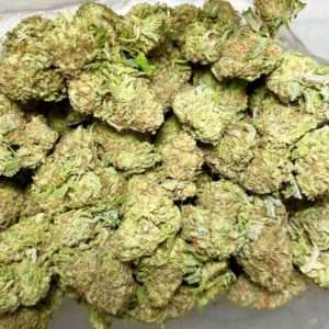 https://bmwo.net/wp-content/uploads/2025/01/Cali-Gold-300x300.jpeg