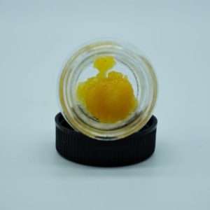 https://bmwo.net/wp-content/uploads/2025/09/SWEET-SKUNK-300x300.jpg